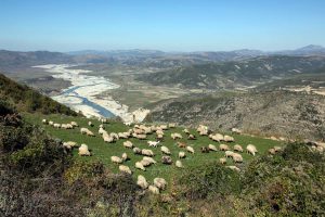 Amarok-Adventure-Tour-SL-1000