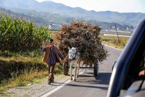 Amarok-Adventure-Tour-SL-754