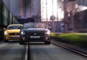 FordMustang_Dingo_2015_08