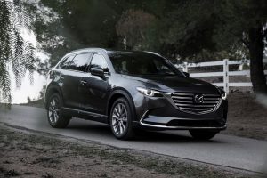 2017 Mazda CX-9 30
