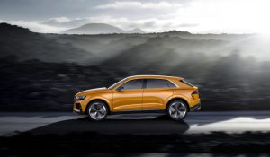 Dynamic photo, Color: Krypton Orange