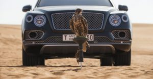 bentley-bentayga-falconry-mulliner-10