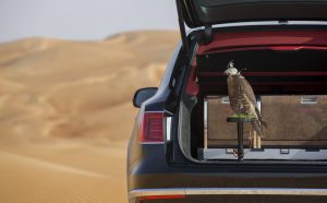 bentley-bentayga-falconry-mulliner-24