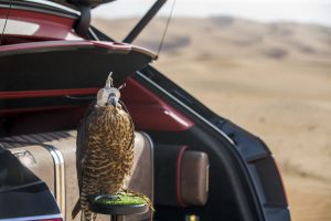 bentley-bentayga-falconry-mulliner-25