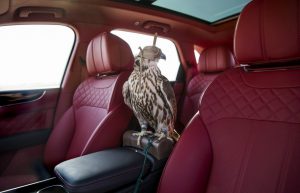 bentley-bentayga-falconry-mulliner-32