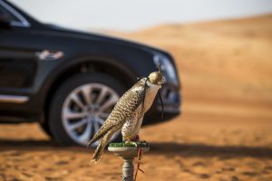 bentley-bentayga-falconry-mulliner-6