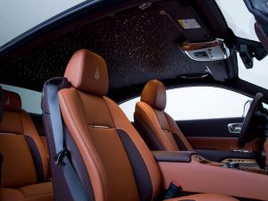 rolls-royce-Wraith-inspired-by-Falconry-04