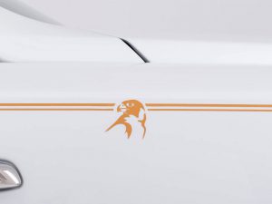 rolls-royce-Wraith-inspired-by-Falconry-17