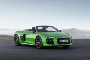 Static photoColour: Micrommata green