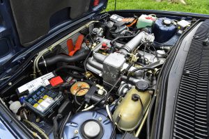 Romania 2017_Hardy Mutschler 0120