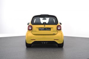 brabus-ultimate-e-concept-6