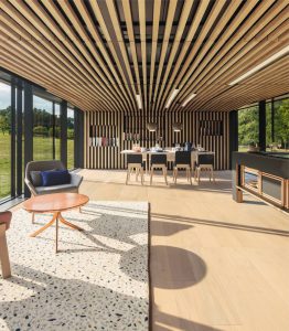 renault-symbioz-concept-frankfurt-7