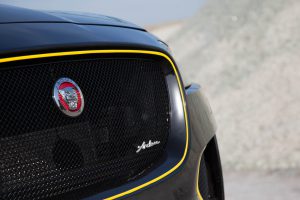 Arden AJ25 Kühlergrill copy