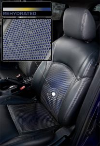 Do drink and drive: Nissan highlights dangers of driver dehydration