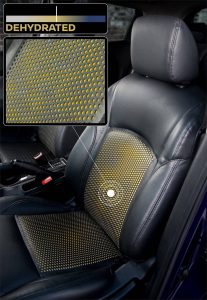 Do drink and drive: Nissan highlights dangers of driver dehydration