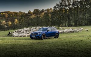 PFV Mercedes-AMG GLC 63 S 4MATIC+ Metzingen November 2017//PTD Mercedes-AMG GLC 63 S 4MATIC+ Metzingen November 2017