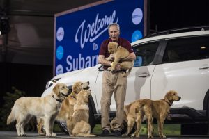 2019-Subaru-Ascent-20