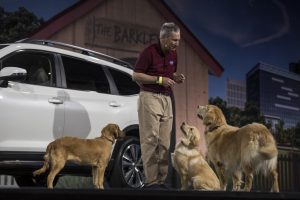 2019-Subaru-Ascent-22