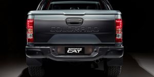 HSV-Colorado-SportsCat-22