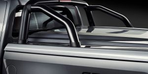 HSV-Colorado-SportsCat-26