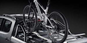 HSV-Colorado-SportsCat-27