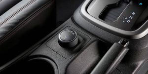 HSV-Colorado-SportsCat-32