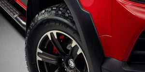 HSV-Colorado-SportsCat-9