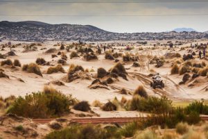 26685341_1698065006919466_5500134366959788416_o