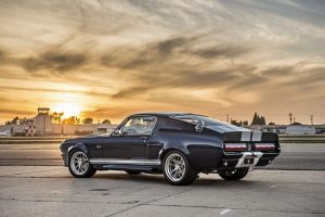 Eleanor-Mustang-14