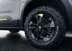 PEUGEOT_RIFTER4X4_1802STYP_201-copy