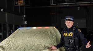 tesla-model-x-ontario-police-1