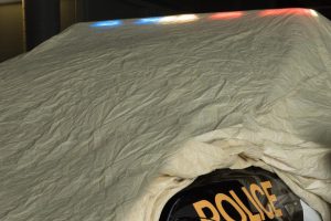 tesla-model-x-ontario-police-5