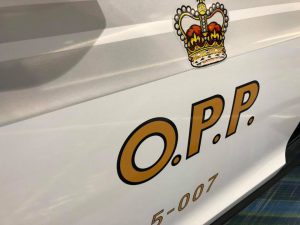 tesla-model-x-ontario-police-8