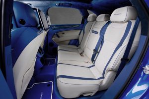 mansory_bentayga_bleurion_07-1