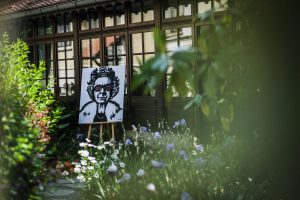 P90305829_highRes_new-mini-debuts-on-r