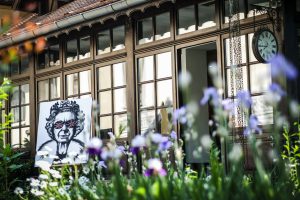 P90305830_highRes_new-mini-debuts-on-r