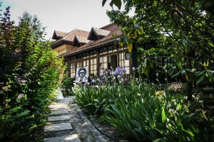 P90305831_highRes_new-mini-debuts-on-r