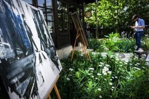 P90305836_highRes_new-mini-debuts-on-r