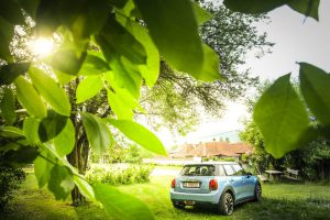 P90305859_highRes_new-mini-debuts-on-r