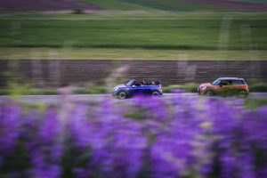 P90305866_highRes_new-mini-debuts-on-r