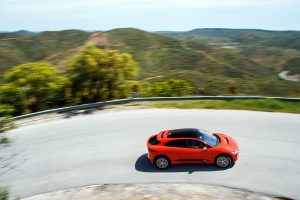 jaguaripacefirstedition048