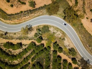 jaguaripacesyulongwhite058