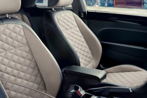 d0dd6f80-vw-beetle-final-edition-8