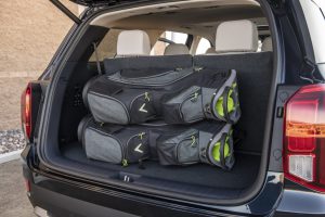 1419c0b5-hyundai-palisade-la-live-pics-54