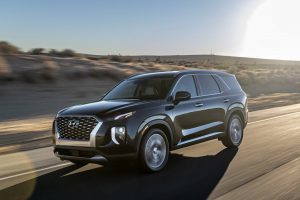 19fbe9d1-hyundai-palisade-la-live-pics-44