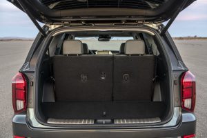 30d0953a-hyundai-palisade-la-live-pics-31