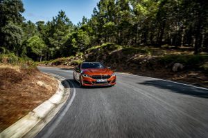 5175ad85-2019-bmw-8-series-coupe-275