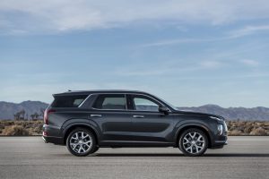 5941bfa2-hyundai-palisade-la-live-pics-19