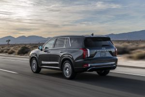597bd3dc-hyundai-palisade-la-live-pics-27
