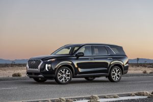 5aeddafb-hyundai-palisade-la-live-pics-36